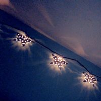 kimbeardy29