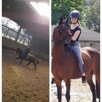 soulxponys