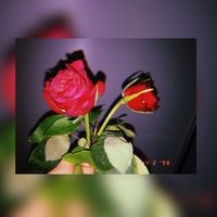 edits.new.lover