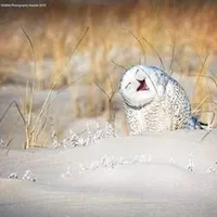 original sound - yaddymedellin