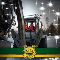 alkuperäinen ääni