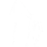 original sound - ronny_jh