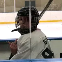 original sound - __danimal__