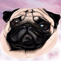 berriethepug