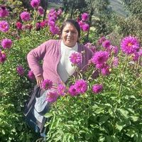 alejandra.crisost53