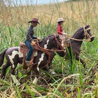 schleichdreams
