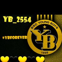yb_2554