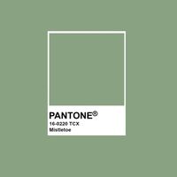 thecolormistletoe