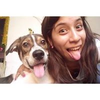 mawi.s21