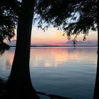 xxcalming.soundxx