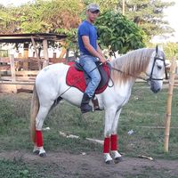 ache.valladares.7