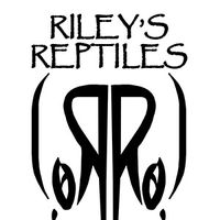 rileys_reptiles