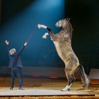 michelcassan.spectacle