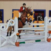 schleich._.817