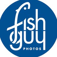 fishguyphotos