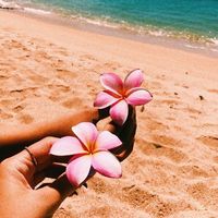 vibez_855