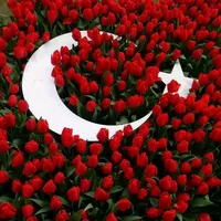 original sound - ayse1804