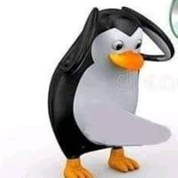dejfikjedoma