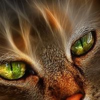 оригінальний звук