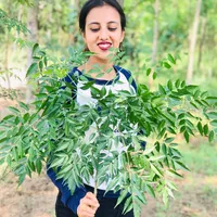 original sound - sarusharma24