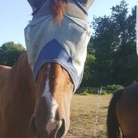 melisa.eq