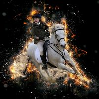 popz.horse.editz