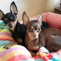 original sound - user8541029888761irina