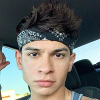 wtfgari