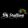 dj_stallion767