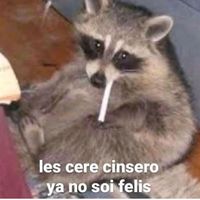 queridoostin