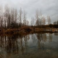 dźwięk oryginalny