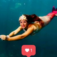 karibbeanmermaids