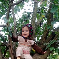 gulafriditaypist087