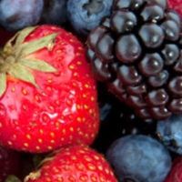 fruit_surgeons48
