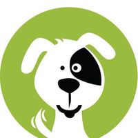 fetchnfundoggydaycare