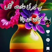 original sound - muhammadabid85188