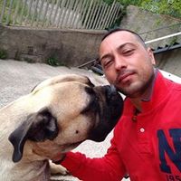 robertogiunta0