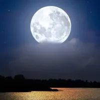 original sound - cartoon_soundd