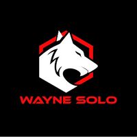 original sound - Wayne Solo