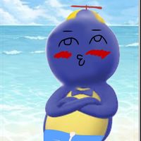 sr.__.avocado.__