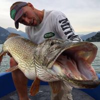 willfisherman74