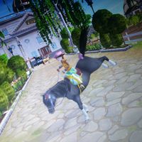 sso_wanzen
