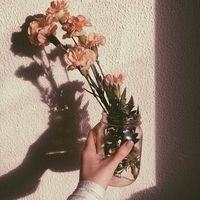 aesthetic_foreverrr_