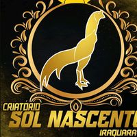 criatoriosolnascente