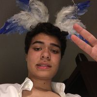 jn.monty