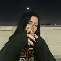 .zodiii