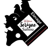 elevage_wakeur_s.saliou