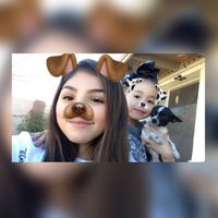bbg.yarely
