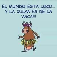 vacazelaya