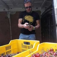 frutteriapadula